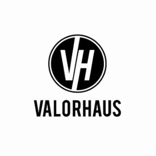 VH VALORHAUS logo