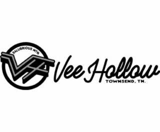VH VEE HOLLOW SALUBRIOUS MTN. TOWNSEND, TN. logo