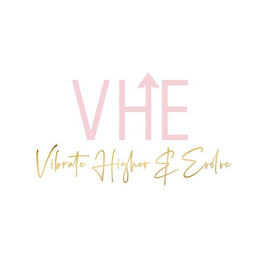 VHE VIBRATE HIGHER & EVOLVE logo