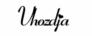 VHOZDJA logo