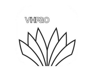 VHPGO logo