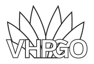 VHPGO logo