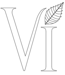 VI logo