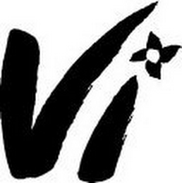 VI logo