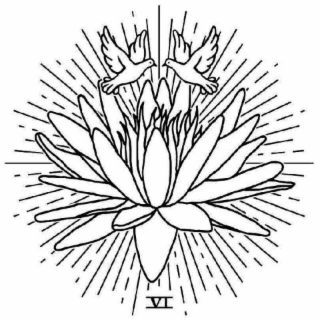 VI logo