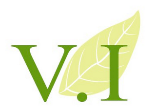 V.I logo