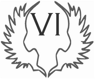 VI logo