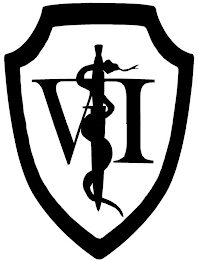 VI logo