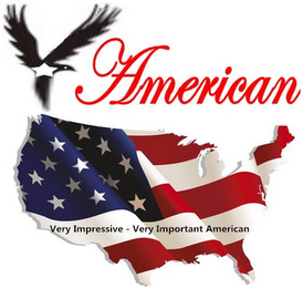 VI AMERICAN VERY IMPRESSIVE - VERY IMPORTANT AMERICAN logo