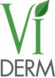 VI DERM logo