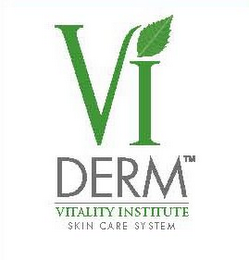 VI DERM VITALITY INSTITUTE SKIN CARE SYSTEM logo