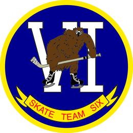 VI SKATE TEAM SIX logo