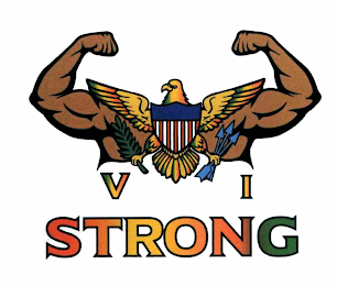 VI STRONG logo
