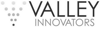 VI VALLEY INNOVATORS logo