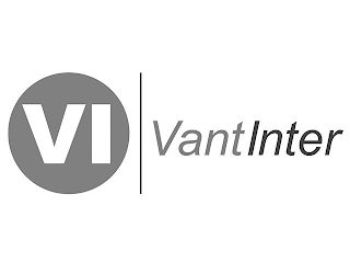 VI VANTINTER logo