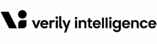 VI VERILY INTELLIGENCE logo