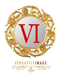 VI VERSATILEIMAGE logo