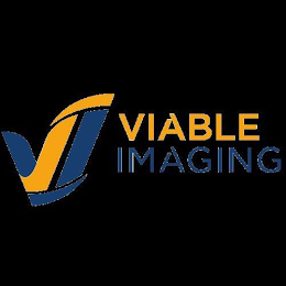 VI VIABLE IMAGING logo