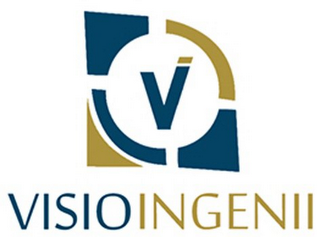VI VISIO INGENII logo