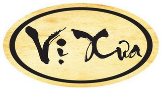 VI XUA logo