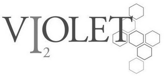VI2OLET logo