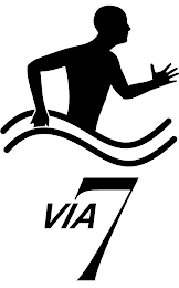 VIA 7 logo