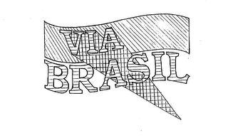 VIA BRASIL logo