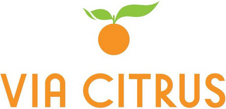 VIA CITRUS logo