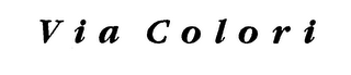 VIA COLORI logo