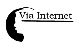 VIA INTERNET logo