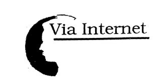 VIA INTERNET logo
