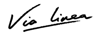 VIA LINEA logo