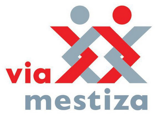 VIA MESTIZA logo