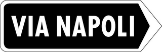 VIA NAPOLI logo