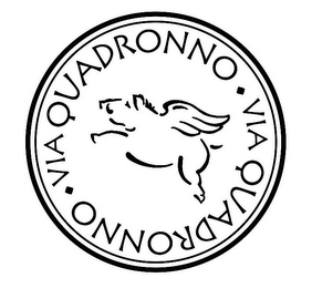 VIA QUADRONNO VIA QUADRONNO logo
