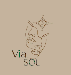 VIA SOL logo