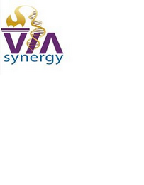 VIA SYNERGY logo