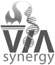 VIA SYNERGY logo