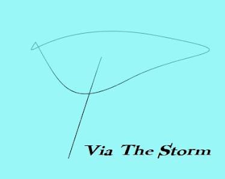 VIA THE STORM logo