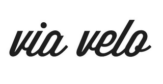 VIA VELO logo
