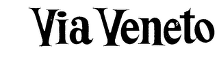 VIA VENETO logo