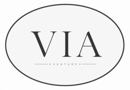 VIA VENTURE logo