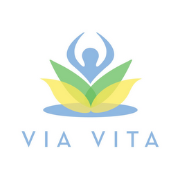 VIA VITA logo