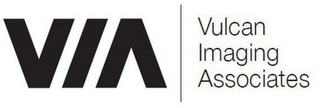 VIA VULCAN IMAGING ASSOCIATES logo