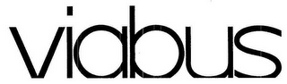 VIABUS logo