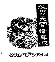 VIAGFORCE logo