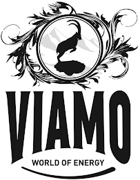 VIAMO WORLD OF ENERGY logo