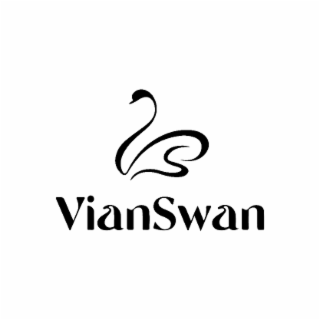VIANSWAN logo