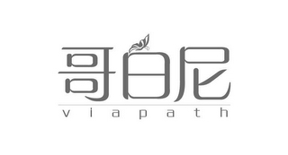 VIAPATH logo
