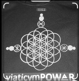 VIATICVMPOWER-0311 logo
